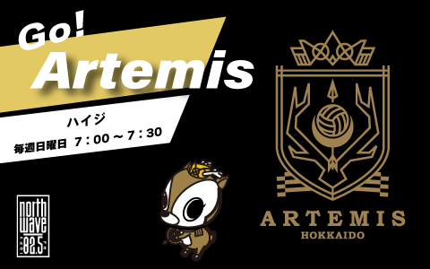 Go! Artemis