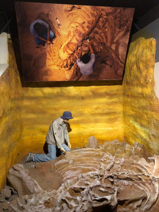 館内ではジオラマで発掘調査の様子も。